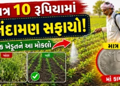 निंदामण उपाय सिर्फ 10 रुपये में!